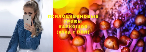 молекула духа Абинск