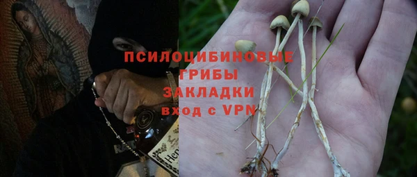 2c-b Покачи