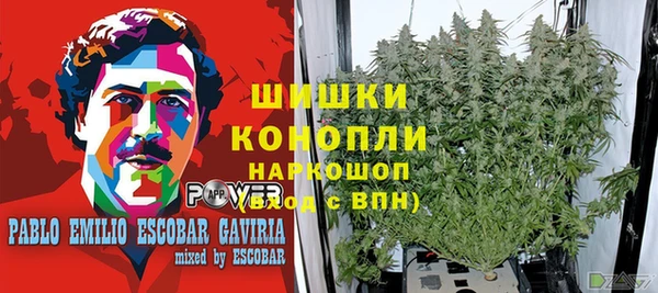 молекула духа Абинск
